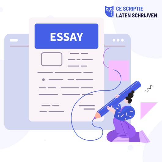 Schrijven van essays